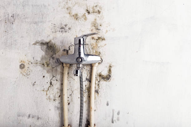 Best Kitchen Mold Remediation in De Leon Springs, FL