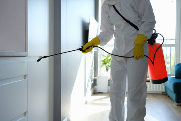 Best Industrial Mold Remediation in De Leon Springs, FL